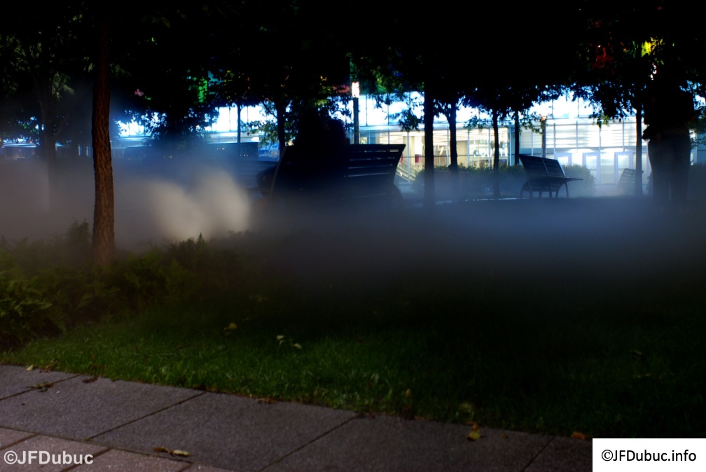 parc en brouillard 1