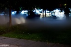 parc en brouillard 1