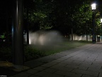 parc en brouillard 2