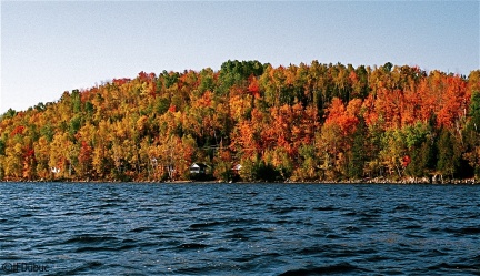 lac d'automne
